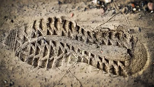 Rubrik_Naturschutz_Biodiv-pixabay-shoe-print-3482282__340
